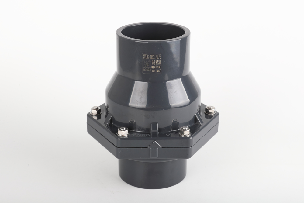 肃州翻板式止回阀