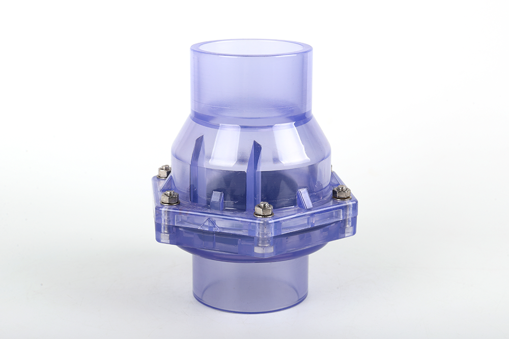 肃州透明翻板式止回阀